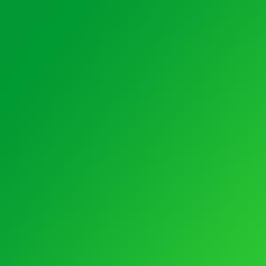 Web Banner Ads